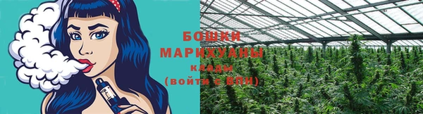 МДПВ Козловка