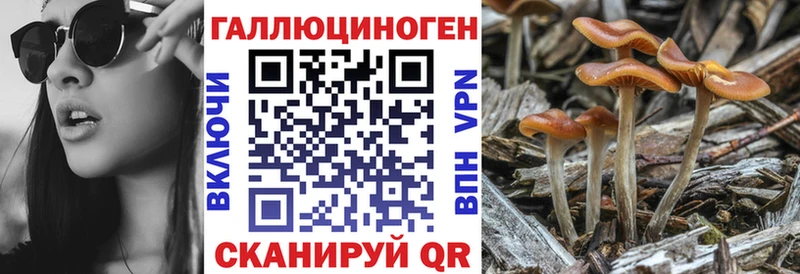 Псилоцибиновые грибы мухоморы  Псков 